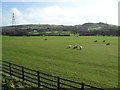 Farmland near Efail Isaf