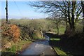 Lane to Upcott Mill