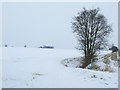TL7245 : Snow Covered Landscape by Keith Evans