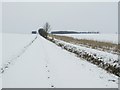 TL7245 : Snow Covered Footpath by Keith Evans
