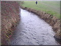 Boveney Brook, Dorney Common