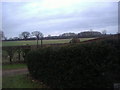 Fields by the River Thames, Dorney