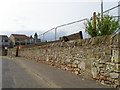 Wall and fencing, Cellardyke