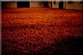 "Field": Antony Gormley installation, Gateshead, 1996