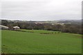 Mid Devon : Grassy Field