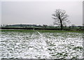 SO9765 : Snowy Footpath across the fields. by Nigel Mykura