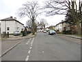 Scholemoor Avenue - viewed from Brooksbank Avenue