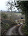 Narrow lane near Alton