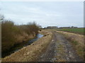 Chalbury, bridleway