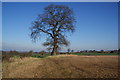 Path to Brocton