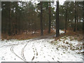 SU8354 : Footprints in the snow - Pyestock Hill by Mr Ignavy