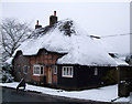 Thatched cottages, Mildenhall