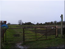 TM2972 : Allotments and footpath to Baynards Green & Gorams Mill Lane by Geographer