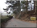 Road to Buddleford from Holcombe Down