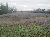 SK7962 : Waste land near the A1 by Trevor Rickard