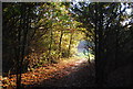 Footpath to Sturry