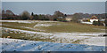 Fields at Little Harmers Farm