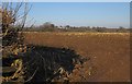 SX3992 : Arable field south of Dubbs Cross by Derek Harper