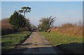 Lane near Upcott Cross