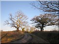 Lane to Emsworthy