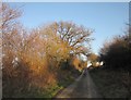 Lane near Huntsdown