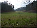 A dry valley near Colemore Green