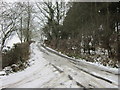 SP8500 : Spring Coppice Lane from Bryants Bottom Lane by Ian S