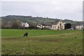 Musbury : Grassy Field