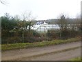 Burley Street, polytunnels