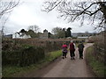 Lane near St. Cadoc