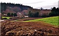 Troy Town: Buildings near Puddletown