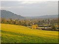 Sunlit downland pasture, Chapel Hill