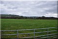 SY2695 : East Devon : Grassy Field by Lewis Clarke