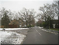 Long view of Tavistock Road