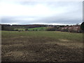 Grazing land, Thorpe Common