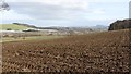 Arable land, Elcho