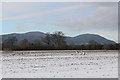 Snow covered field east of Hanley Swan