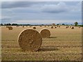 Farmland, Sandhutton