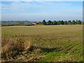 Farmland, Garsington