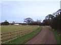 Lane to Tuft House Farm