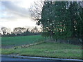 Woodland corner, field and road, Coalpits, Crick