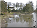 TA1063 : Village pond, Burton Agnes, winter view by Pauline E