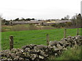 Farm buildings on the Crossan Road