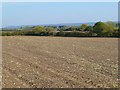 Farmland, Great Haseley