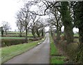 Rotherby Road towards Gaddesby