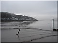 NX8355 : Kippford at low tide by Ian Paterson