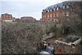 Tiverton : Town Leat & Moorhayes