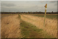 Footpath to Owston Ferry