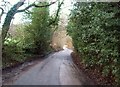 Narrow Lane near Lydiate Farm