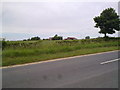 Mordon Moor Farm across the fields